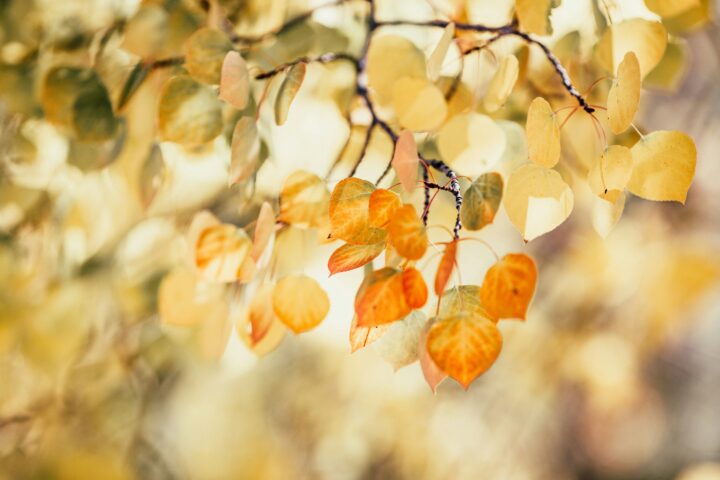 september